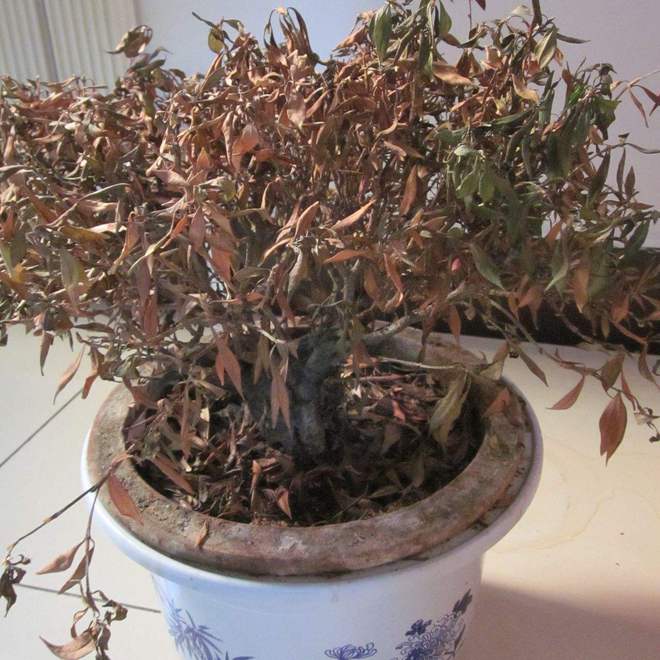 ”家里有这5种物品一定要尽早处理掉！PG麻将胡了试玩俗话说：“财不入脏屋(图3)